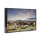 Stupell Industries Bustling Horse Herd in Nature Framed Giclee By PHBurchett